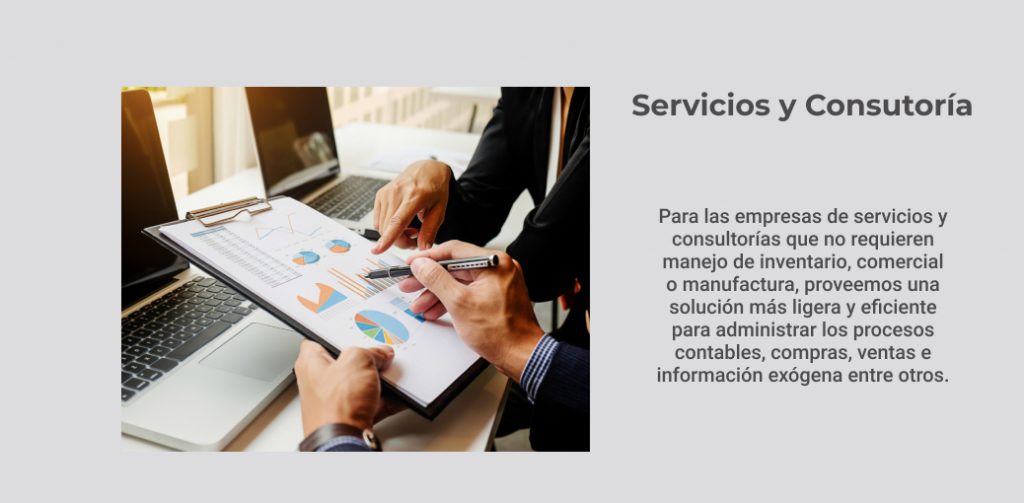 infografia de los clientes en los sectores de servicios y consultoria de multidatos